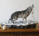 Подарочный набор для виски штоф 1 шт. стаканы 6 шт. 59x35x21 см. 480604 - изображение 1