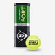 Теннисные мячи Dunlop Fort All Court TS 3ball - изображение 1