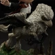 Фигурка Iron Studios Harry Potter Harry and Buckbeak (WBHPM39921-MC) - изображение 6