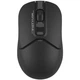 Мышка A4Tech FB12S Wireless/Bluetooth Black (FB12S Black) - изображение 1