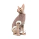 Свитер для животных Pet Fashion TOM XS капучино (4823082429509) - изображение 1