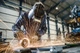 Угловая шлифмашина Metabo W 9-125 Quick болгарка 125мм с защитой от повторного пуска, 900 Вт, шпиндель М14, 10500 об/мин (картонная коробка) 600374000 (5553) - изображение 4
