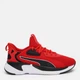 Чоловічі кросівки для бігу Puma Softride Premier 37618603 43 (9) 28 см High Risk Red-Black (4064536336428) - зображення 1