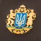 Ежедневник А5 с тризубом Герб Украины Цвет коричневый 4001022 - изображение 3