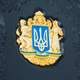 Ежедневник кожаный Тризуб Украины медь золото эмали кожа 4004001 - изображение 5