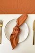 Салфетки из хлопка TouchableLinen 1 шт Светло терракотовый Хлопковые салфетки для сервировки стола 45х45 см - изображение 1