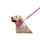 Кожаный поводок для собак WAUDOG Glamour Ш 25 мм Д 122 см Pink (33767) - изображение 5