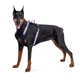 Шлея для собак безопасная WAUDOG Nylon c QR паспортом, металлическая пряжка-фастекс, S, Ш 20 мм, А 35-60 см, В 55-65 см фиолетовый - изображение 5