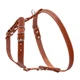 Шлея CoLLaR одинарная для мелких и средних собак (Ш 20мм, А:40-56см, В:57-65см), коричневый - изображение 2