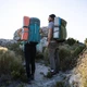 Килимок складний IXPE Naturehike NH19QD008, алюмінієва плівка, 185x56х1,8 см, жовтий - изображение 5