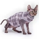 Кофта без рукава для котов и кошек Style Pets Guch L - изображение 2