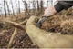 Пила розкладна Silky Gomboy 240-10 (121-24) - зображення 4