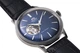 Мужские часы Orient RA-AG0005L10B / RA-AG0005L30B - изображение 2