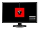 Монітор професійний для роботи з кольором Eizo ColorEdge CS2731 27" (4995047054580) - зображення 2