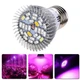 Світлодіодна фітолампа для рослин повний спектр E27 28 LED 8Вт SMD 5730 (285522) - зображення 2