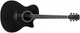 Электроакустическая гитара Enya EAG-40 BK EQ - изображение 2