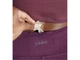 Спортивные леггинсы с карманом для ключей для женщины Crivit CREORA® 371958 S Бордовый - изображение 4