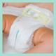 Підгузки Pampers Premium Care Розмір 5 11-16 кг 88 шт (4015400541813) - зображення 6