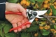 Секатор Felco 9 обводной для левши - изображение 3