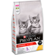 Sucha karma dla kociąt Purina Pro Plan Original Kitten z kurczakiem 10 kg (7613036505307) - obraz 2