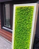 Панно со стабилизированым мхом и подсветкой 170см*30см MiNature Moss - изображение 2