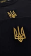 Кофта світшот утеплена чоловіча Тризуб Vsetex Warm M, Чорна - зображення 5