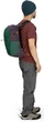 Рюкзак Osprey Daylite Plus 20 л Green / Purple (009.3085) - изображение 6