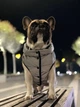 Курточка для собак светоотражающая WAUDOG Clothes, размер M45, В 61-65 см, С 38-42 см (5365) - изображение 8