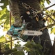 Цепная пила Makita LXT, 18В+18В, 300мм (без АКБ и ЗУ) (DUC306Z) - изображение 3