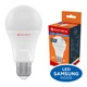 Лампочка Electrum A60 12W PA LS-33 Elegant Е27 4000K (A-LS-1921) - зображення 2
