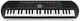 Синтезатор CASIO SA-81H7 - изображение 2