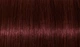 Перманентная крем-краска для волос Indola Permanent Caring Color 4.60 Средне-коричневый натуральный красный 60 мл (4045787709070) - изображение 2