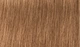 Перманентна фарба для волосся Indola Permanent Caring Color 8.32 Світлий золотистий блонд перлинний 60 мл (4045787931747) - зображення 2