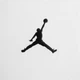 Футболка мужская Jordan Jumpman Men's Short-Sleeve T-Shirt размер L (DC7485-100) - изображение 4