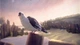 Ключ активации 11-11 Memories Retold для Xbox One/Series - изображение 3