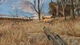Ключ активации Big Buck Hunter Arcade для Xbox One/Series - изображение 4