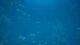 Ключ активации Bassmaster® Fishing: 2022 Bassmaster Classic® для Xbox One/Series - изображение 7