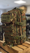 Рюкзак Mil-Tec 20 л Камуфляж US ASSAULT PACK SM VEGETATO W/L (14002042-20) - изображение 5