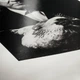Фотобумага Hahnemuhle Photo Rag® Baryta 315 г/м², глянцевая, А2, 25 листов - изображение 3
