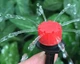 Комплект крапельного поливу з таймером та насосом 20 форсунок&nbsp;чорних DIY - зображення 7