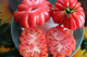 Насіння Томат Грибний лук, 0,15 г (GL Seeds) - зображення 4
