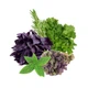 Насіння Суміш Кухонні трави, 20 г (GL Seeds) - зображення 2