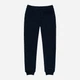 Детские теплые спортивные штаны-джогеры Minoti 11JOGGER 1 37278KID 92-98 см Темно-синие (5059030927882) - изображение 2