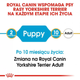 Сухий повнораційний корм для цуценят Royal Canin Yorkshire Terrier Puppy породи йоркширський тер'єр віком від 2 до 10 місяців 1.5 кг (3182550743471) (39720151) - зображення 6