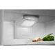 Холодильник Electrolux RNS6TE19S - зображення 2