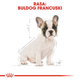 Sucha karma dla szczeniąt rasy buldog francuski Royal Canin Puppy 1kg (3182550765220) (39900101) - obraz 6