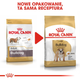 Сухий повнораційний корм для собак Royal Canin Bulldog Adult породи бульдог віком 12 місяців та старше 12 кг (3182550719803) (2590120) - зображення 6