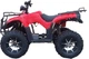 Электроквадроцикл BIG BMW ATV 3000W 60V 60Ah Красный - изображение 3