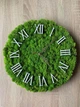 Часы со мхом 30 см MiNature Moss - изображение 1