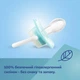 Пустышка Canpol Babies Toys силиконовая симметричная 0-6 месяцев Зеленая (23/291 Зелений) - изображение 4